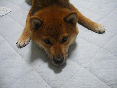 IMGP33910002.jpg