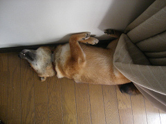 IMGP33960001.jpg
