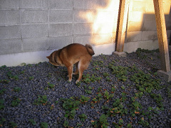 IMGP34080006.jpg