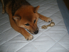 IMGP34500003.jpg