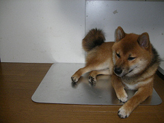 IMGP34690001.jpg