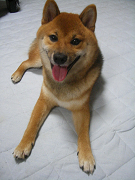 IMGP34750002.jpg