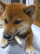 IMGP34780004.jpg