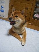 IMGP35280001.jpg