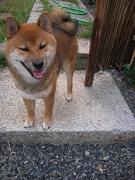 IMGP35340002.jpg