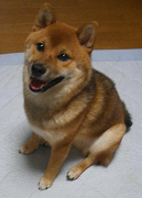 IMGP35390005.jpg