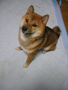 IMGP41100001.jpg