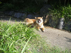 IMGP45030001.jpg