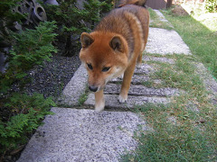 IMGP45080002.jpg