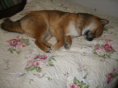 IMGP45270002.jpg