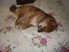 IMGP45280003.jpg