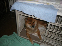 IMGP45320001.jpg