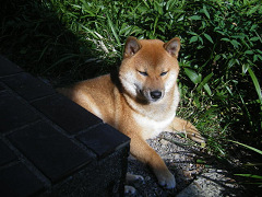 IMGP46560001.jpg