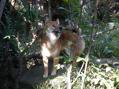 IMGP46650005.jpg