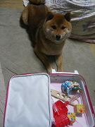 IMGP59260003.jpg