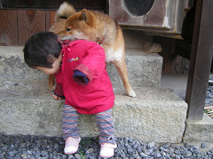 IMGP59440003.jpg