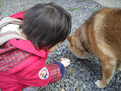 IMGP59500004.jpg
