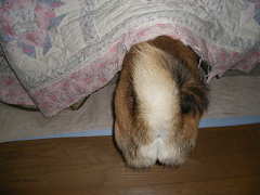 IMGP60300001.jpg