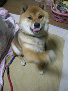 IMGP60320001.jpg