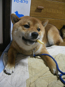 IMGP60410004.jpg