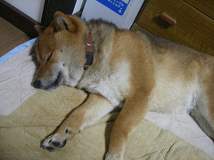 IMGP61450001.jpg