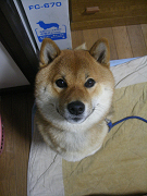 IMGP61480003.jpg
