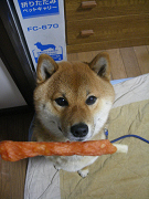 IMGP61490004.jpg