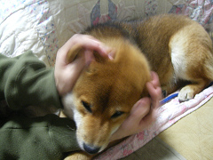 IMGP61550001.jpg
