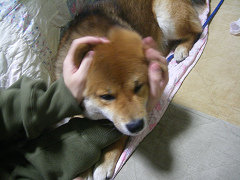 IMGP61560002.jpg
