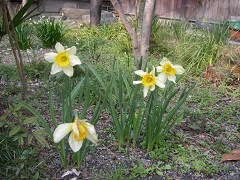 IMGP63760001.jpg