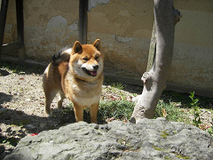 IMGP64080002.jpg