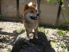 IMGP64090003.jpg