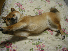 IMGP64380001.jpg