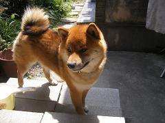IMGP64500001.jpg