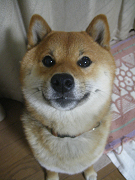 IMGP64730001.jpg