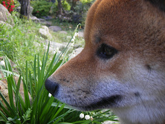 IMGP65190002.jpg