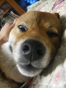IMGP66070002.jpg