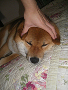 IMGP66160006.jpg