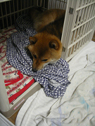 IMGP72120001.jpg