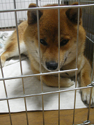 IMGP72170002.jpg