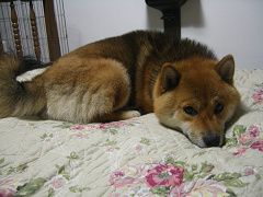 IMGP73760001.jpg
