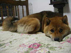 IMGP73790004.jpg