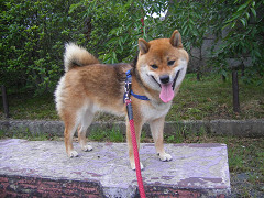 IMGP73830001.jpg