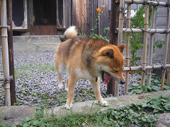 IMGP73870002.jpg