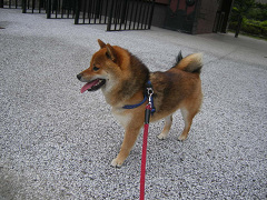 IMGP74020008.jpg