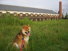IMGP74510001.jpg