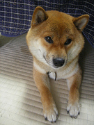 IMGP74640001.jpg
