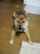 IMGP74790001.jpg