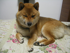 IMGP75140001.jpg