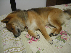 IMGP75180002.jpg